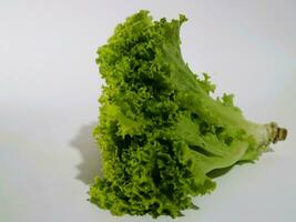 Fresh green lettuce salad leaves isolated white background photo