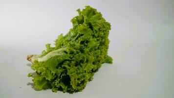 Fresh green lettuce salad leaves isolated white background photo