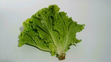 Fresh green lettuce salad leaves isolated white background photo