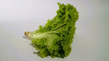 Fresh green lettuce salad leaves isolated white background photo