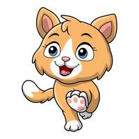 Cute cat cartoon on white background vector