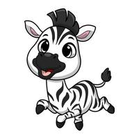 Cute little zebra cartoon on white background vector