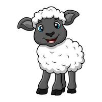 linda oveja dibujos animados en blanco antecedentes vector