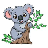 Cute little koala cartoon on a tree branch vector