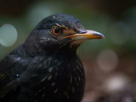 mirlo pájaro retrato creado con generativo ai tecnología foto