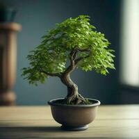 Bonsai tree in a pot on a table for home decoration, Ai Generative photo