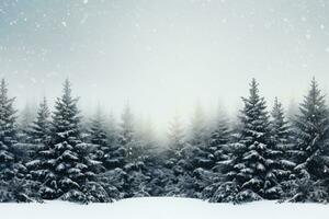 Side view of the forest at winter. Winter spruce forest in the fog. The trees are covered with snow. Beautiful nature. photo