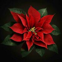 A beautiful poinsettia flower on black background, top view, Ai Generative photo