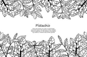 Rectangle botany pistachio frame. Vintage vector illustration in hand drawing sketch style. Healthy food ingredient for vegetarian diet. Retro autumn decoration with leaves, nuts, branches