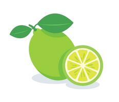 green lemon vector illustration