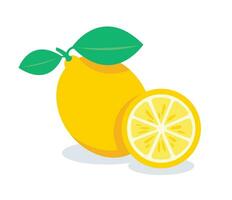 Yellow lemon vector illustration