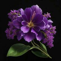 A beautiful lilac flower on black background, top view, Ai Generative photo