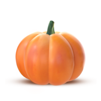 3d le rendu Orange citrouille png