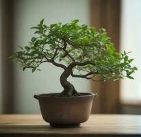 Bonsai tree in a pot on a table for home decoration, Ai Generative photo