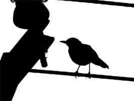 Silhouette of the Bird Perched on the Electrical Wire Base on my Photography. Vector Illustration