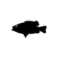 Bass Fish Silhouette, can use for Art Illustration, Logo Gram, Pictogram, Mascot, Website, or Graphic Design Element. Vector Illustration