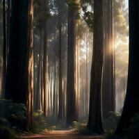 Fantasy forest with rays of sunlight coming through the trees, Ai Generative photo