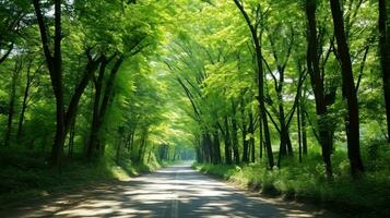 camino camino mediante el otoñal bosque natural forma, la carretera a el tropical bosque campo, relajante con ecológico ambiente, libertad estilo de vida concepto, generativo ai ilustración foto