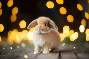 Close-up of cute rabbit with beautiful bokeh background, Generative AI illustration photo