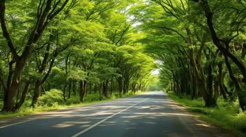 camino camino mediante el otoñal bosque natural forma, la carretera a el tropical bosque campo, relajante con ecológico ambiente, libertad estilo de vida concepto, generativo ai ilustración foto