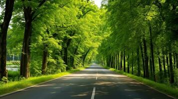 camino camino mediante el otoñal bosque natural forma, la carretera a el tropical bosque campo, relajante con ecológico ambiente, libertad estilo de vida concepto, generativo ai ilustración foto