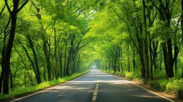 camino camino mediante el otoñal bosque natural forma, la carretera a el tropical bosque campo, relajante con ecológico ambiente, libertad estilo de vida concepto, generativo ai ilustración foto