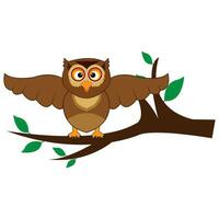 Cartoon Cute Owl School Teacher Character design. vector