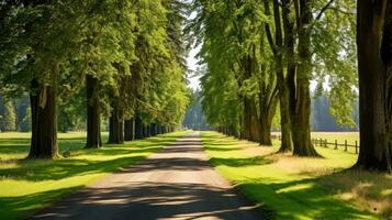 camino camino mediante el otoñal bosque natural forma, la carretera a el tropical bosque campo, relajante con ecológico ambiente, libertad estilo de vida concepto, generativo ai ilustración foto