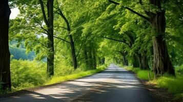 camino camino mediante el otoñal bosque natural forma, la carretera a el tropical bosque campo, relajante con ecológico ambiente, libertad estilo de vida concepto, generativo ai ilustración foto