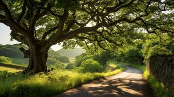 camino camino mediante el otoñal bosque natural forma, la carretera a el tropical bosque campo, relajante con ecológico ambiente, libertad estilo de vida concepto, generativo ai ilustración foto