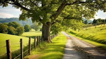 camino camino mediante el otoñal bosque natural forma, la carretera a el tropical bosque campo, relajante con ecológico ambiente, libertad estilo de vida concepto, generativo ai ilustración foto