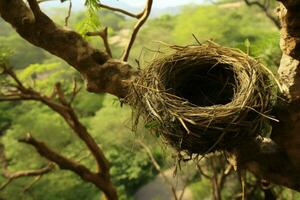 A trees limbs provide sanctuary for a delicate birds nest AI Generated photo