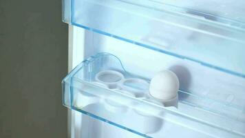 white eggs on the refrigerator shel video