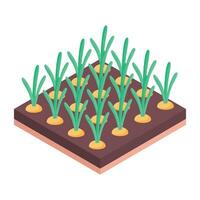 Check out plant hydroponics isometric icon vector