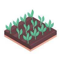 Check out plant hydroponics isometric icon vector