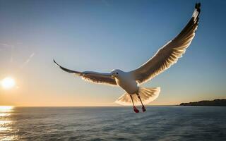 Ethereal Symphony, A Majestic Seagull Soaring Above Azure Waves. AI Generated photo