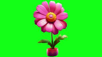 Pink flower realistic animation with green screen background - Free Video