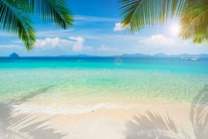 Tropical beautiful white sand beach and blue sky background, Summer vacation concept and copy space photo