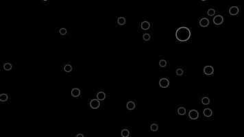 vit cirklar bakgrund video
