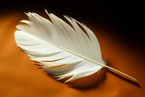 A delicate feather emerges from a piece of elegant paper AI Generated photo