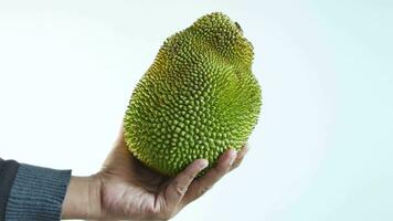 top view of jackfruits in a bowl on table. video