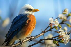 Close up of majestic bald eagle on a crisp winters day AI Generated photo