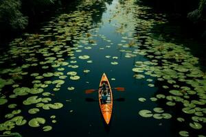 Aerial shot of kayaking in Rayongs lush lotus filled botanical garden AI Generated photo