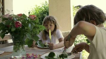 kinderen zijn aan het eten veganistisch voedsel. video