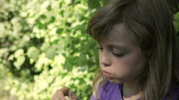 un pequeño niña es comiendo un galleta video