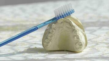 uma escova de dente é sentado em topo do uma dente zombar acima video