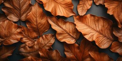 AI Generative. Close-up autumn dry leaf textured wallpaper. Created with AI tools photo