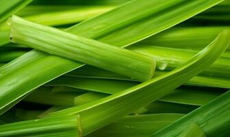Fresh lush green grass on meadow with drops of water dew. Close-up macro. For banner, postcard, book illustration. Created with generative AI tools photo