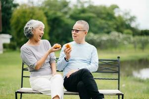 Asian senior couple having a good time. They laughing and smiling while sitting outdoor at the park. Lovely senior couple photo