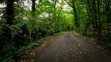 verão estrada viagem através a Inglês campo video